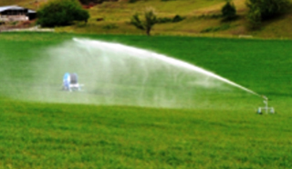 irrigation in open field